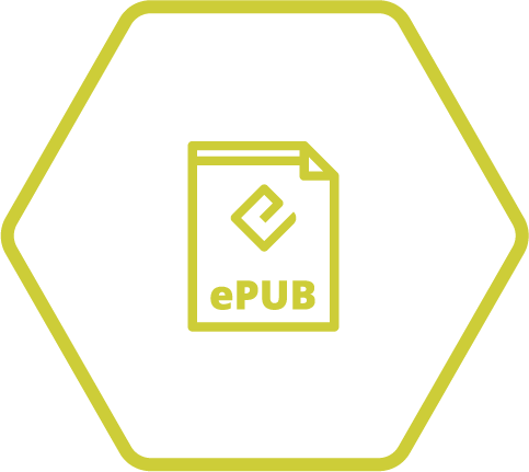ePub accessibility